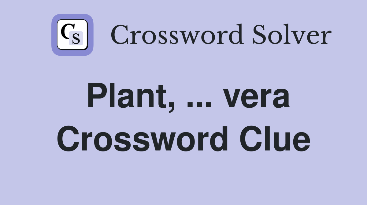 Plant, ... vera Crossword Clue