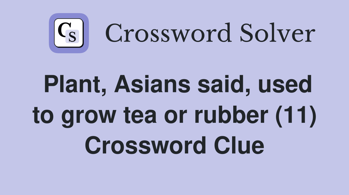 Plant, Asians said, used to grow tea or rubber (11) Crossword Clue