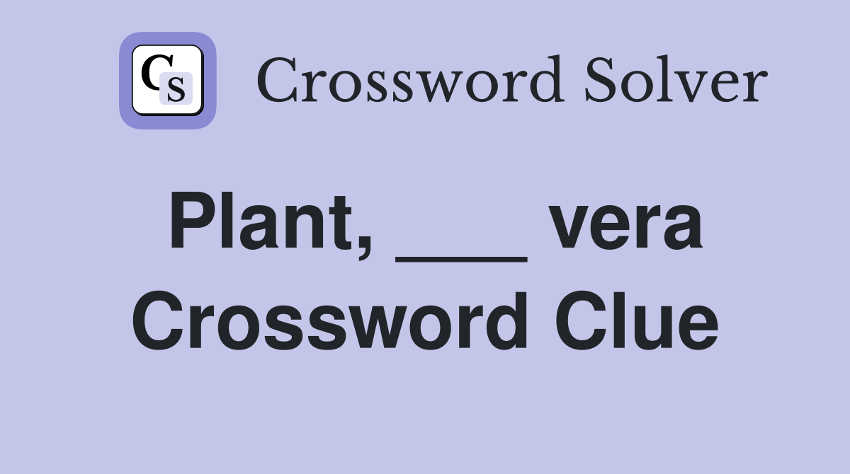 Plant, ___ vera Crossword Clue