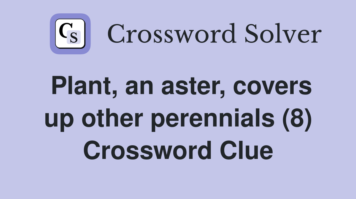 Plant, an aster, covers up other perennials (8) Crossword Clue