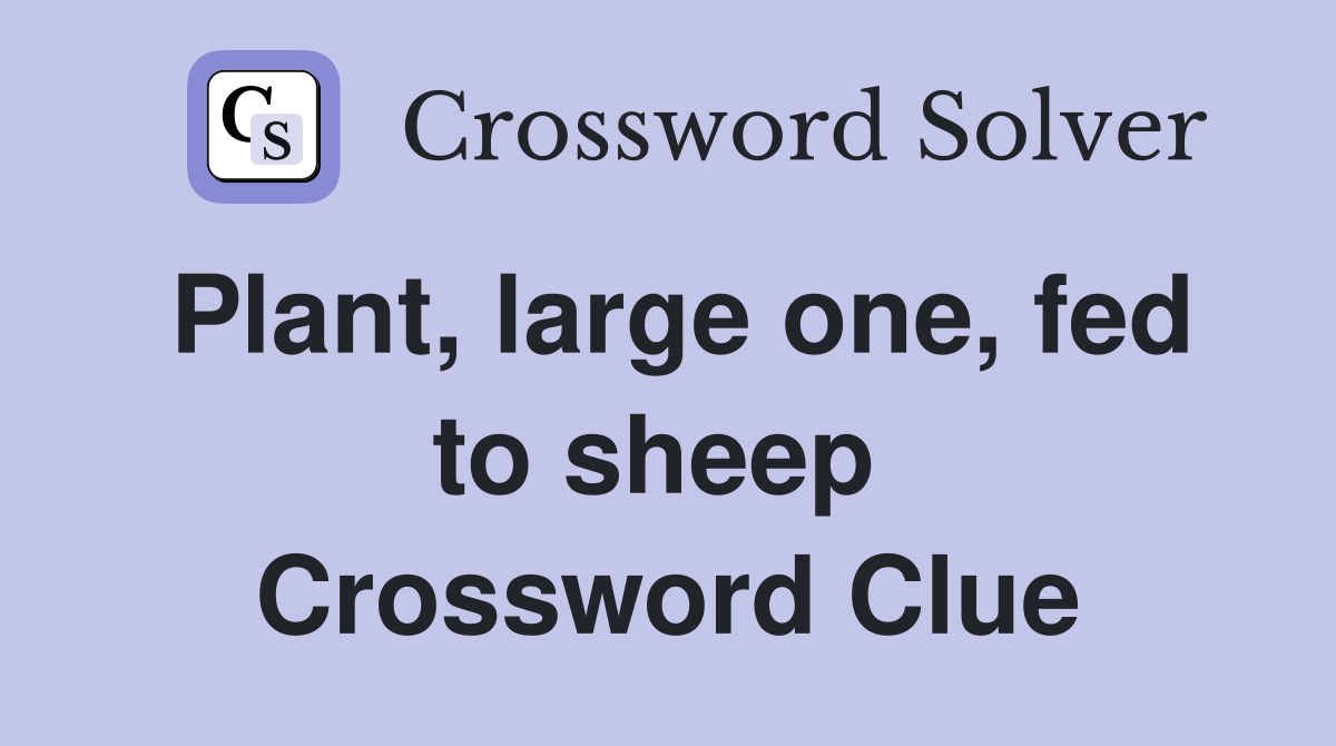 Plant, large one, fed to sheep  Crossword Clue