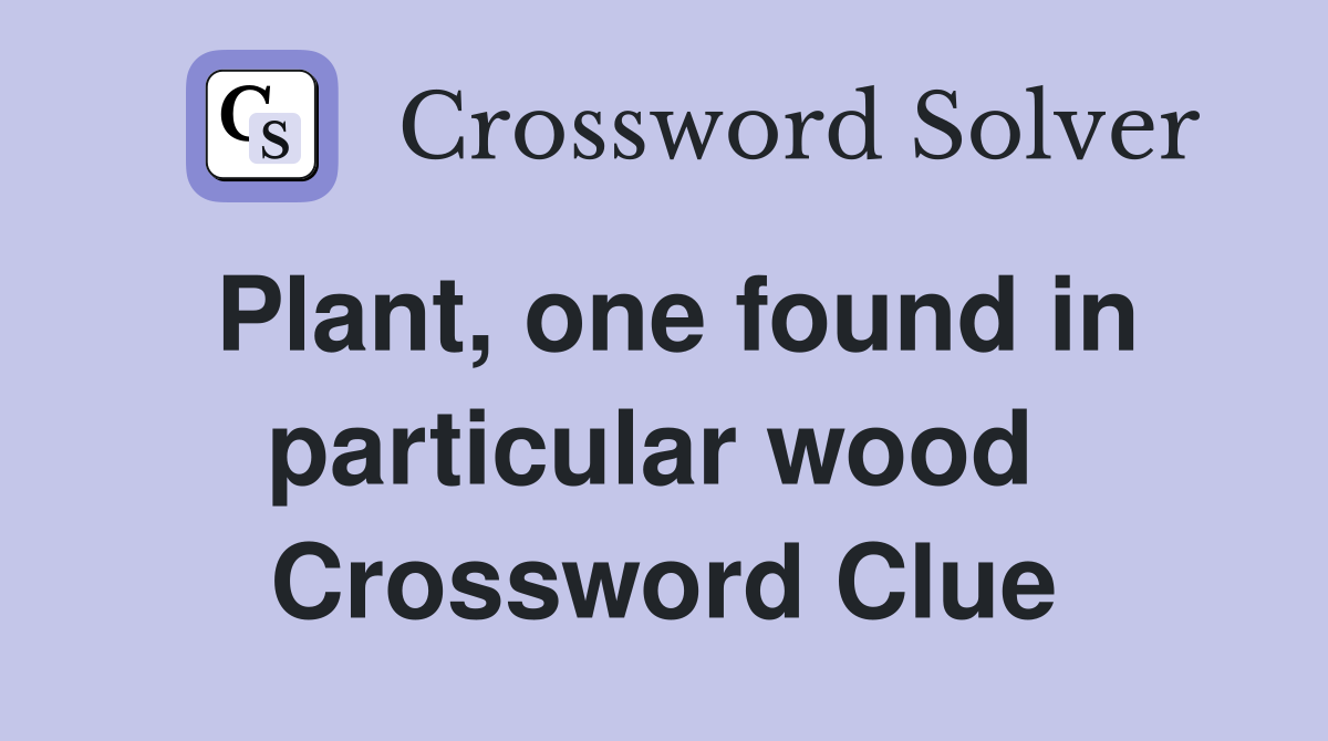 Plant, one found in particular wood  Crossword Clue