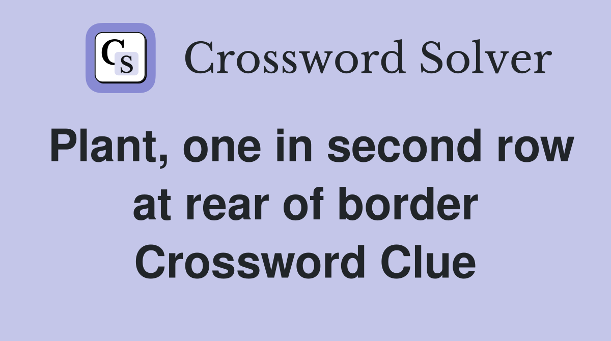 Plant, one in second row at rear of border Crossword Clue