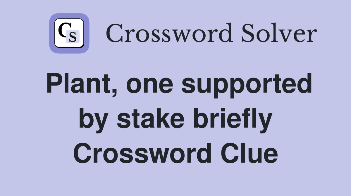 Plant, one supported by stake briefly Crossword Clue