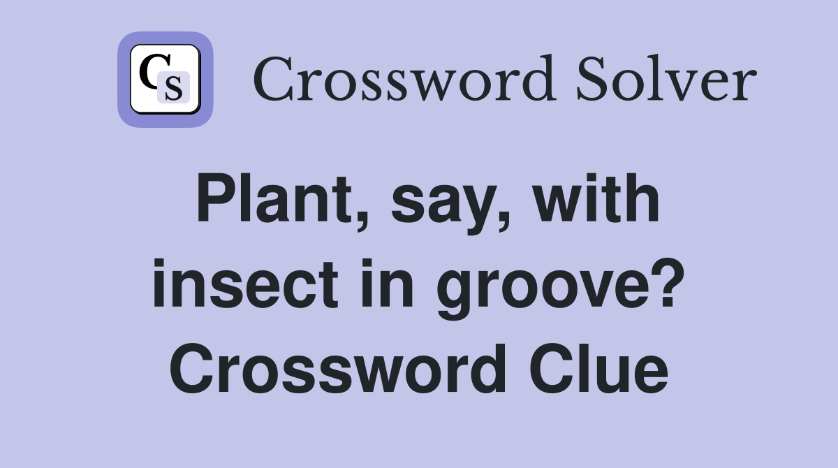 Plant, say, with insect in groove? Crossword Clue