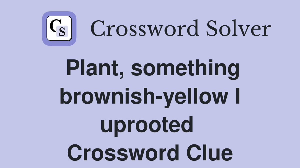 Plant, something brownish-yellow I uprooted  Crossword Clue