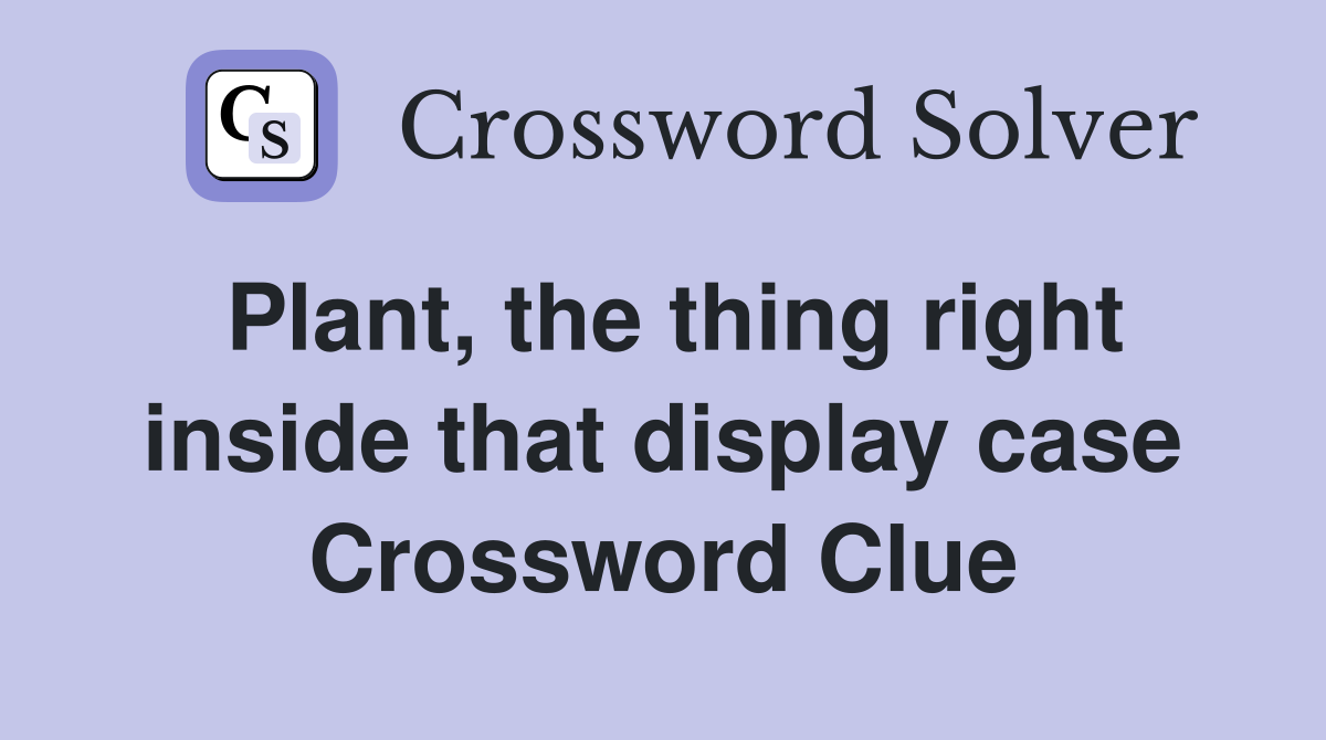Plant, the thing right inside that display case Crossword Clue