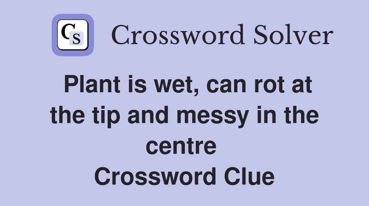 Plant is wet, can rot at the tip and messy in the centre  Crossword Clue