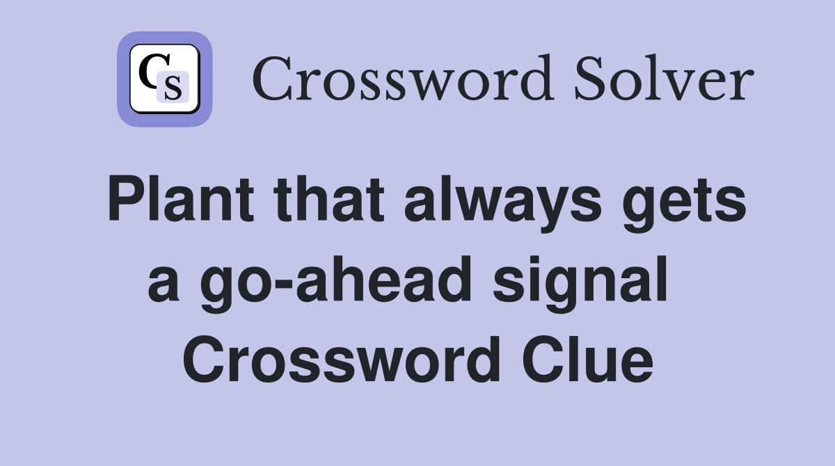 Plant that always gets a go-ahead signal  Crossword Clue