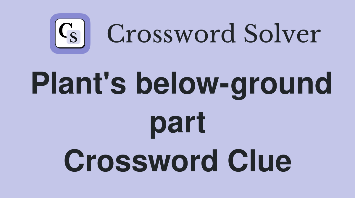 Plant's below-ground part Crossword Clue