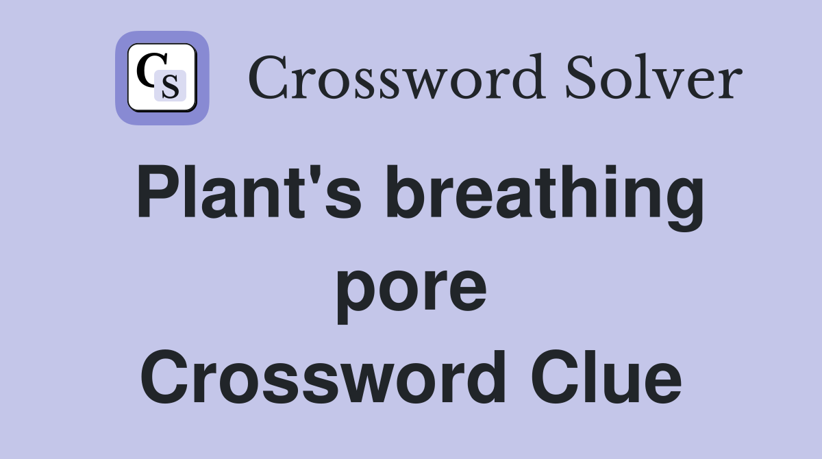 Plant's breathing pore Crossword Clue