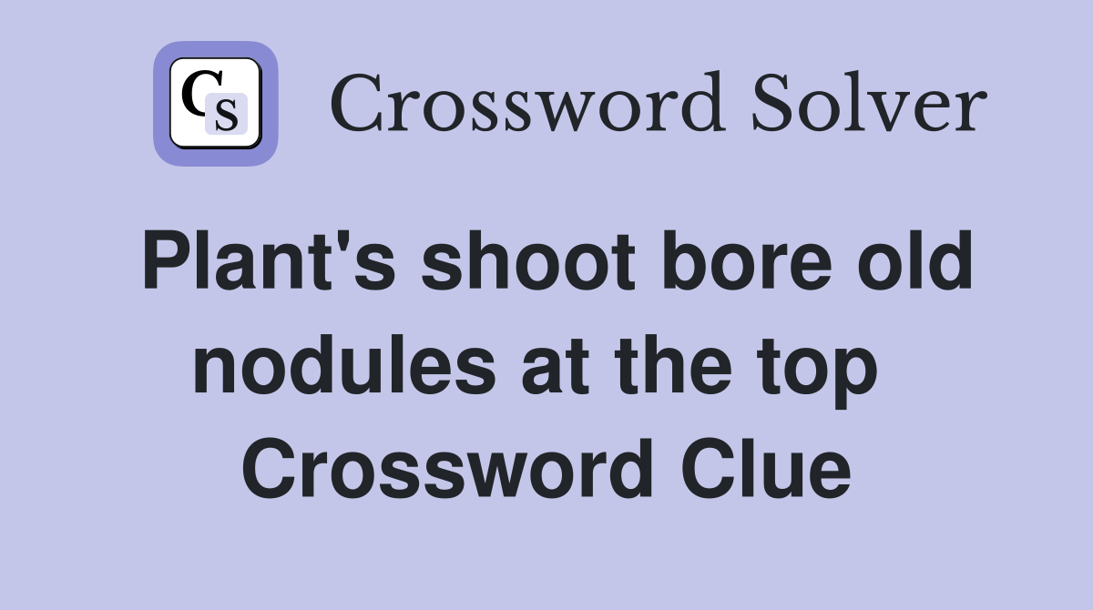 Plant's shoot bore old nodules at the top  Crossword Clue