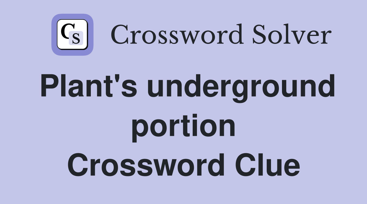 Plant's underground portion Crossword Clue