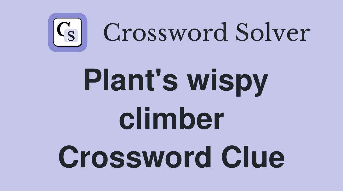 Plant's wispy climber Crossword Clue