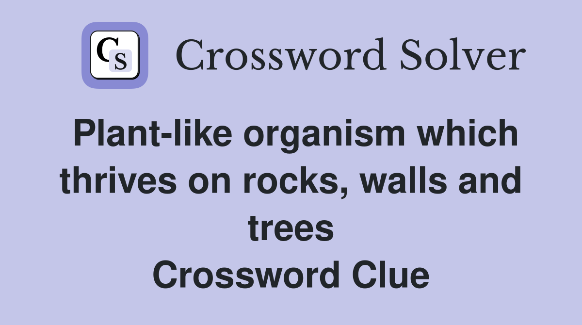 Plant-like organism which thrives on rocks, walls and trees Crossword Clue