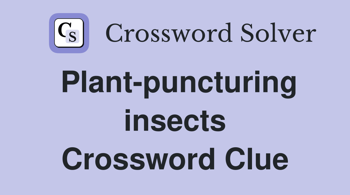 Plant-puncturing insects Crossword Clue