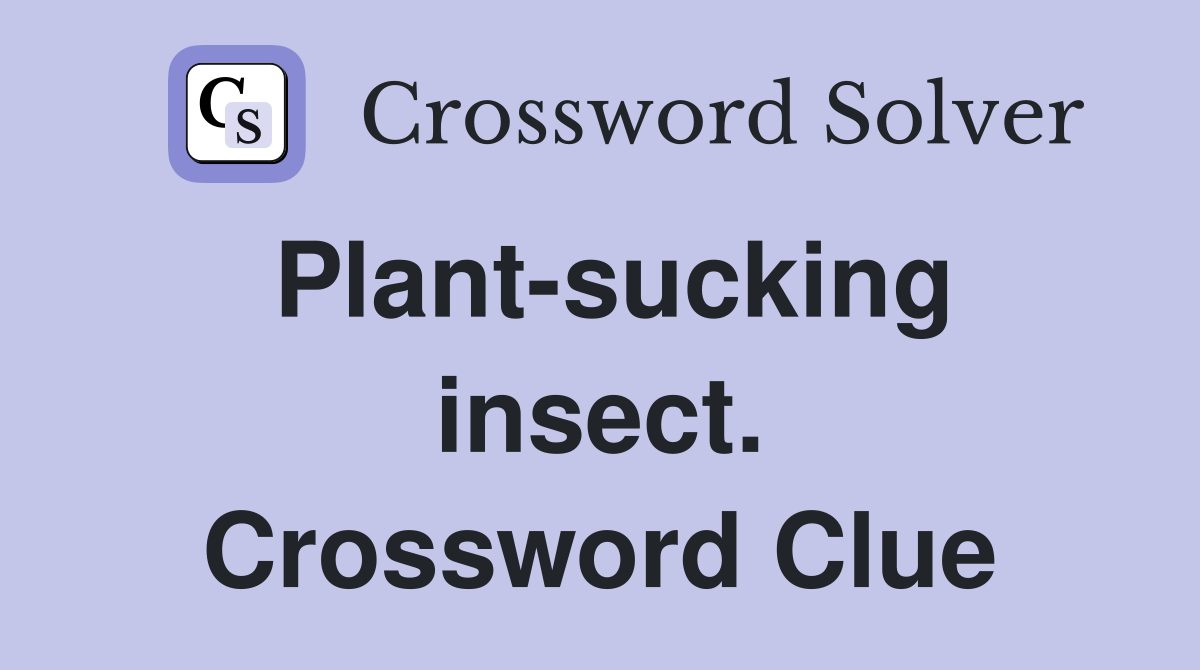 Plant-sucking insect. Crossword Clue