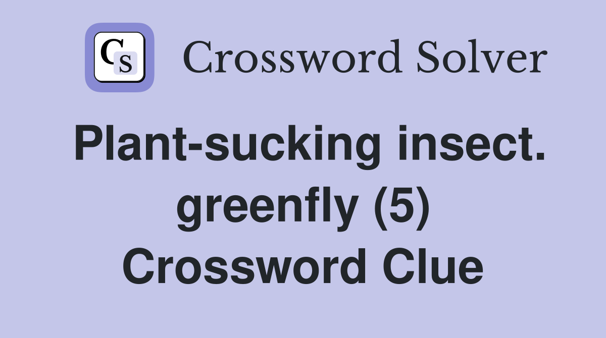 Plant-sucking insect. greenfly (5) Crossword Clue