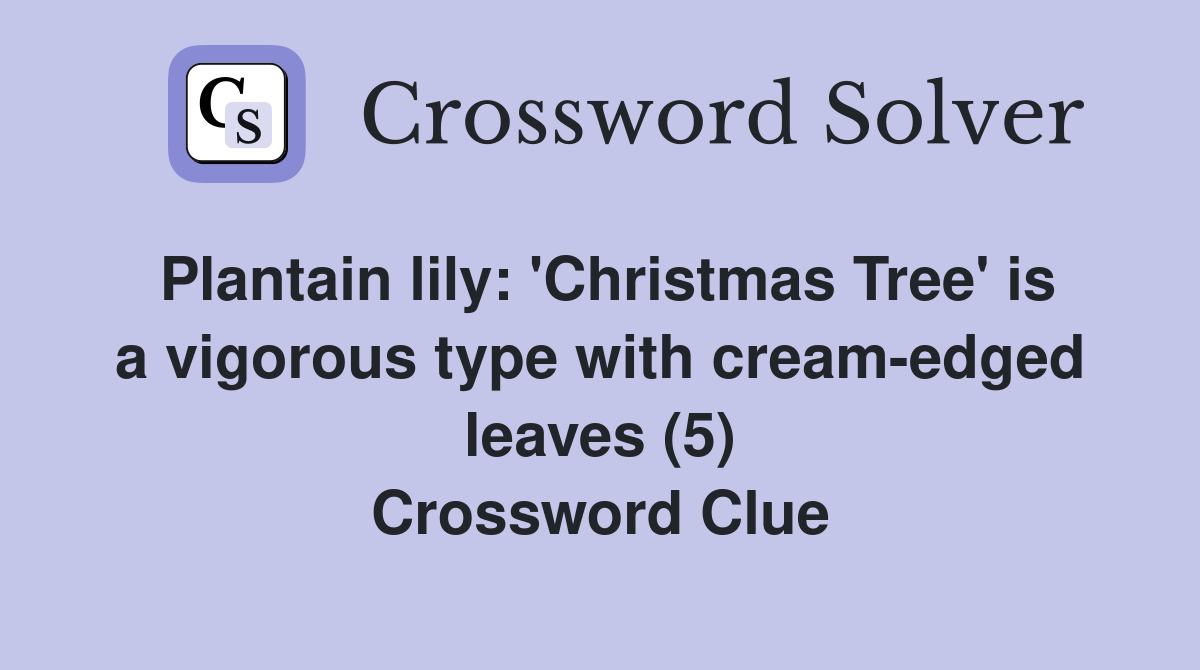 Plantain lily: 'Christmas Tree' is a vigorous type with cream-edged leaves (5) Crossword Clue