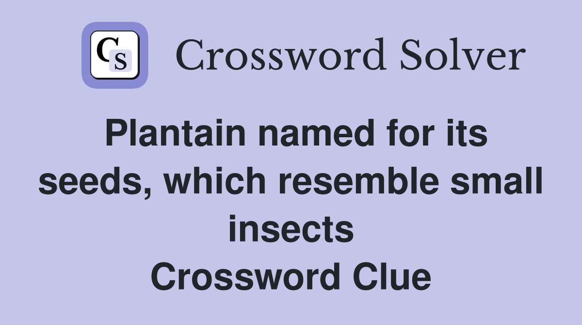 Plantain named for its seeds, which resemble small insects Crossword Clue