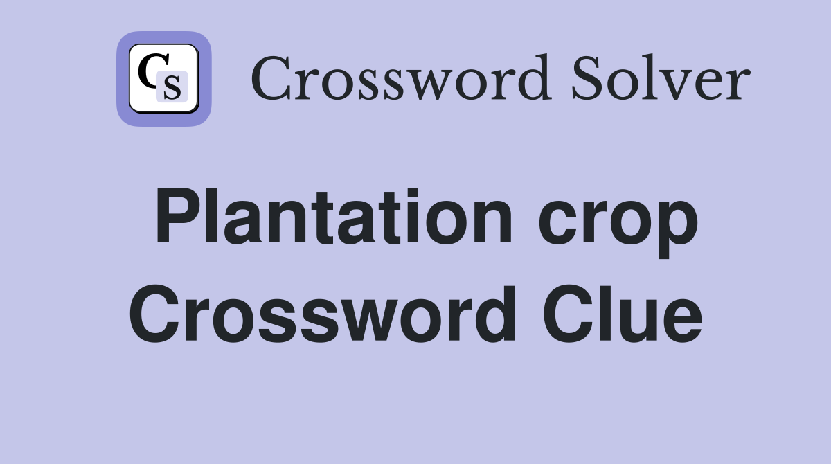 Plantation crop Crossword Clue