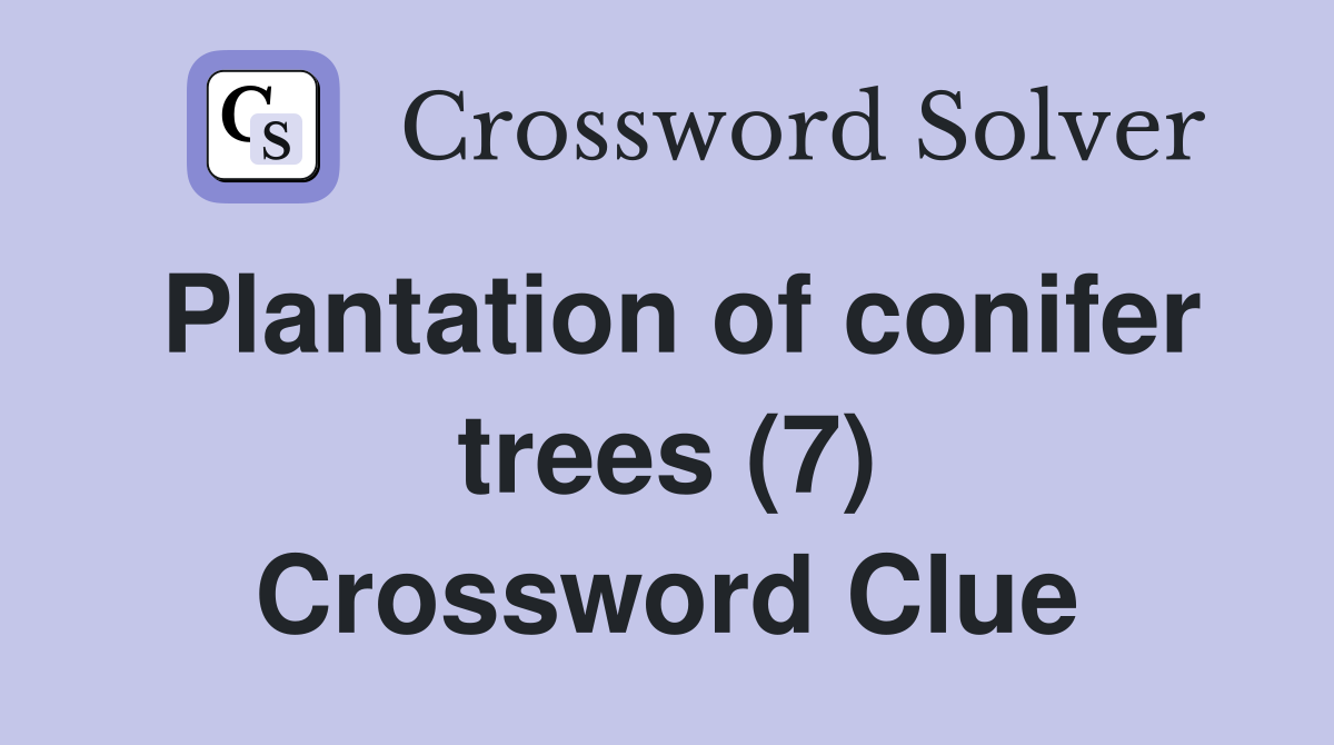 Plantation of conifer trees (7) Crossword Clue