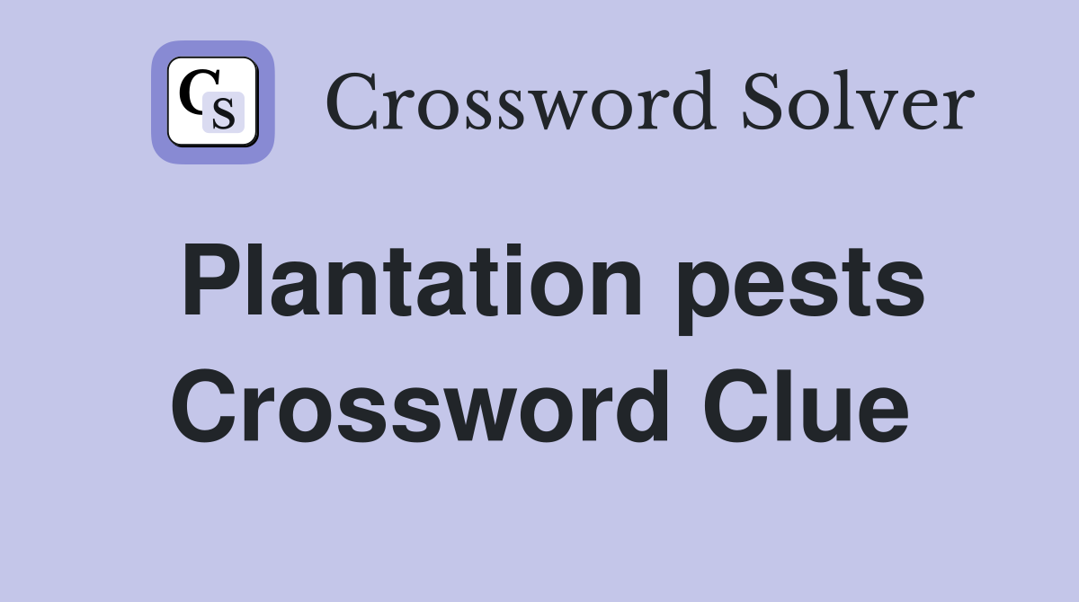 Plantation pests Crossword Clue