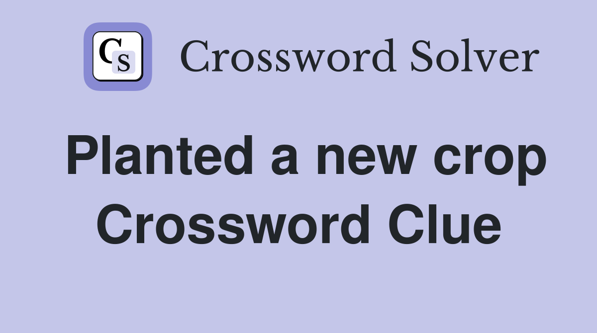 Planted a new crop Crossword Clue