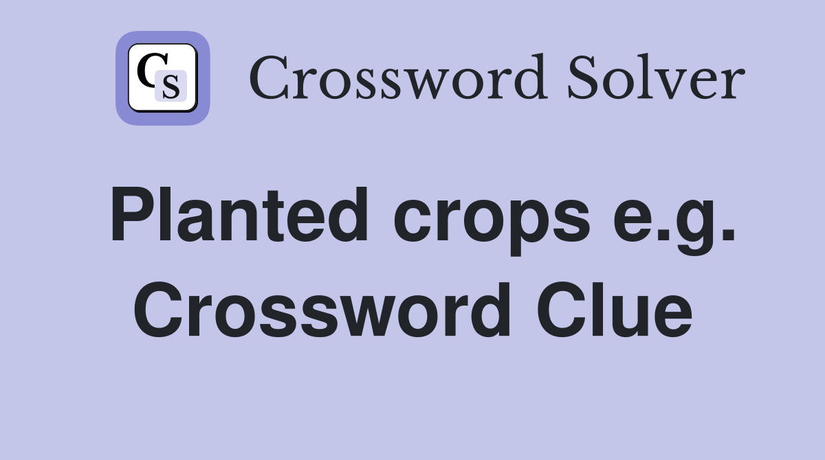Planted crops e.g. Crossword Clue