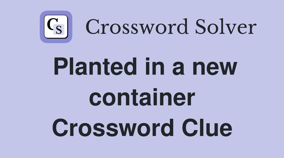 Planted in a new container Crossword Clue