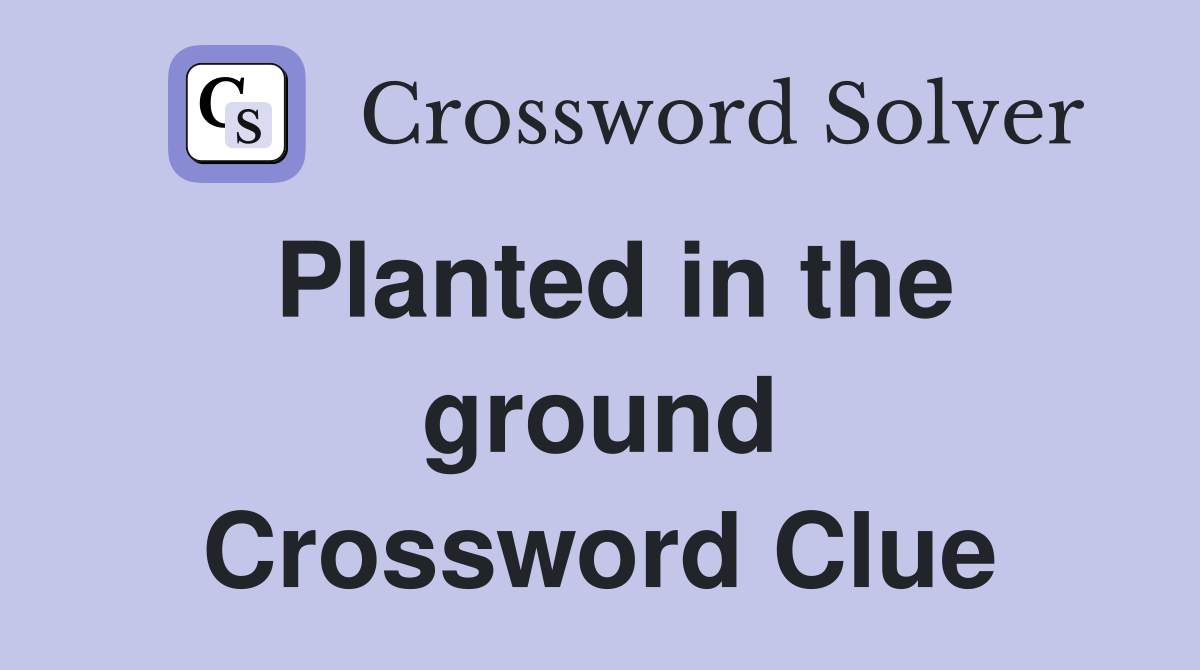 Planted in the ground Crossword Clue