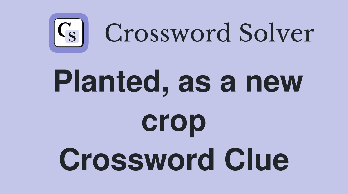 Planted, as a new crop Crossword Clue