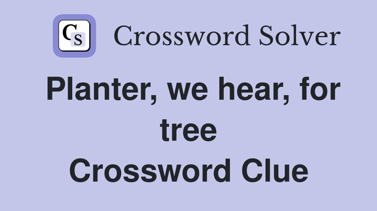 Planter, we hear, for tree Crossword Clue