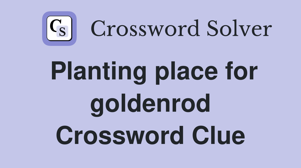 Planting place for goldenrod Crossword Clue