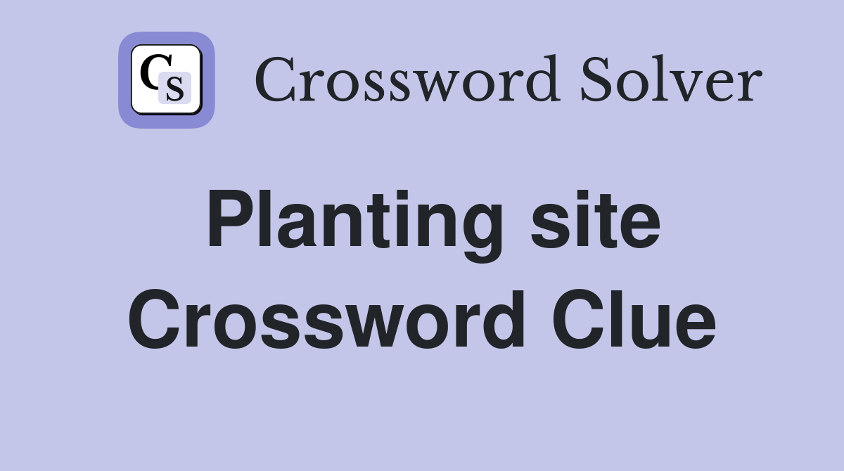 Planting site Crossword Clue