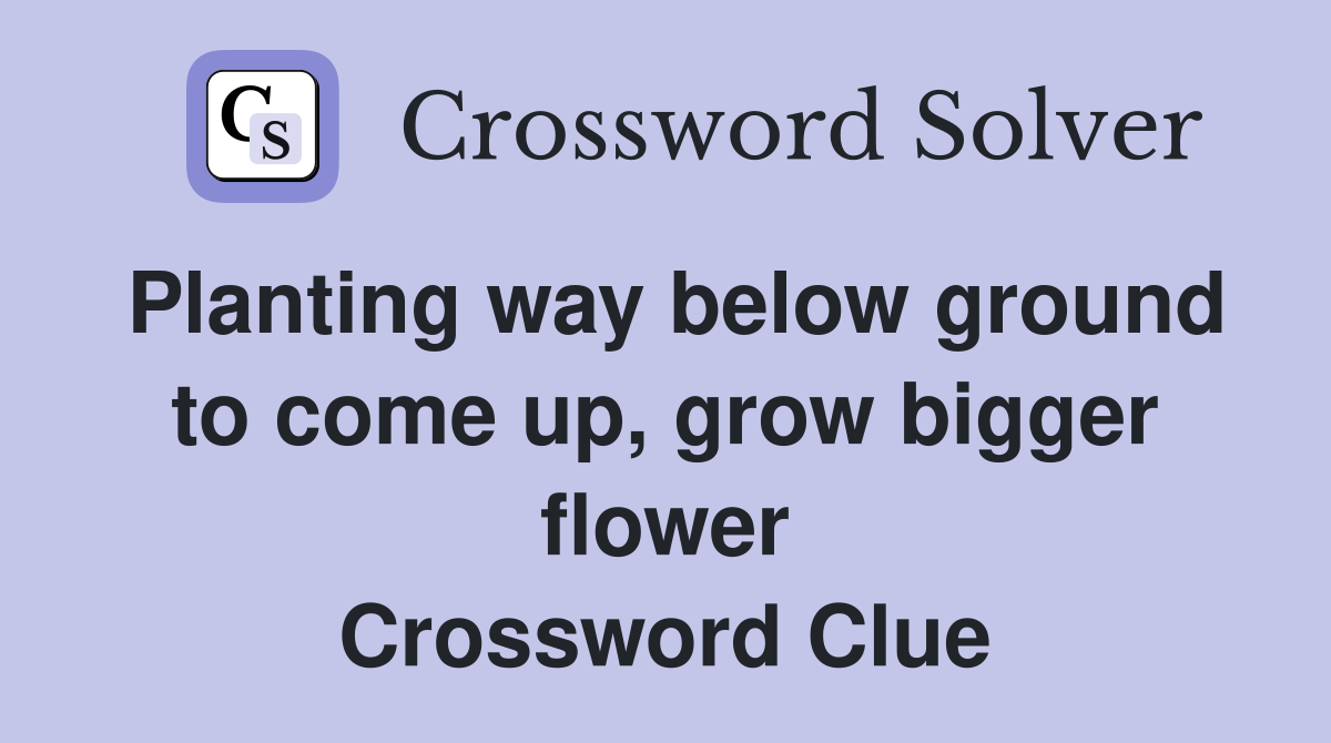 Planting way below ground to come up, grow bigger flower Crossword Clue