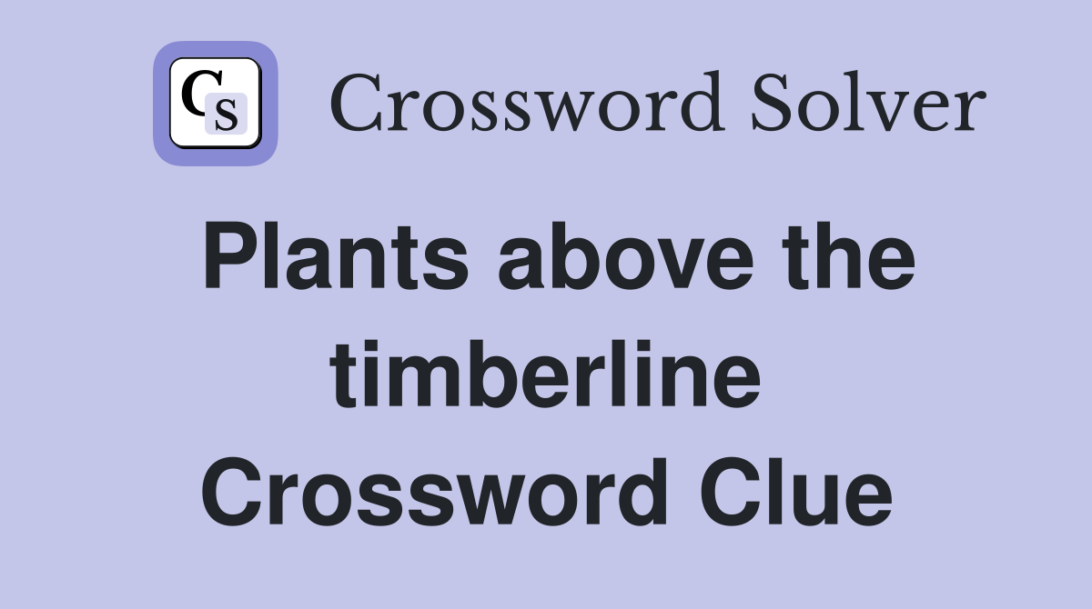 Plants above the timberline Crossword Clue
