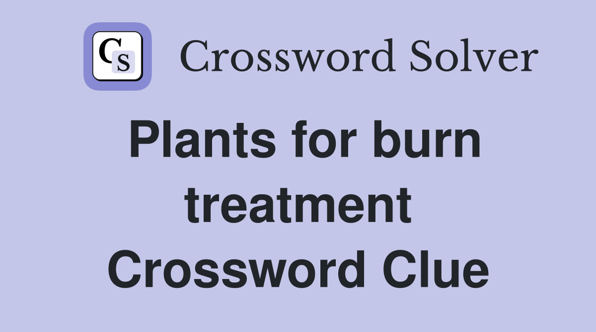 Plants for burn treatment Crossword Clue