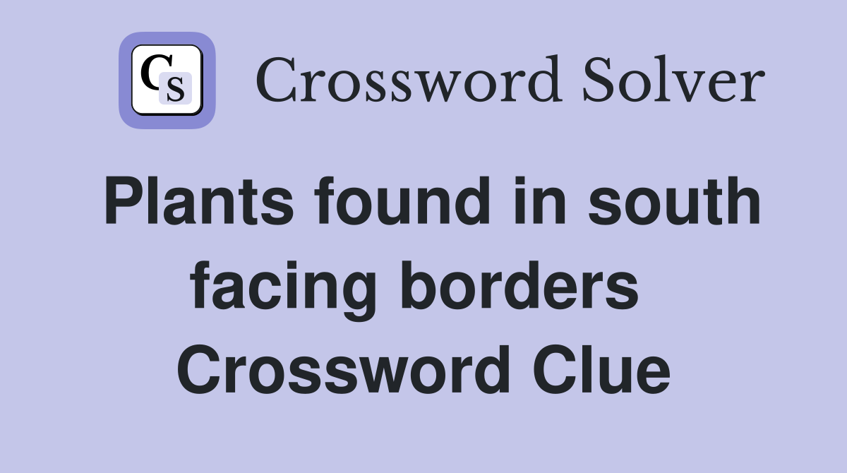 Plants found in south facing borders  Crossword Clue