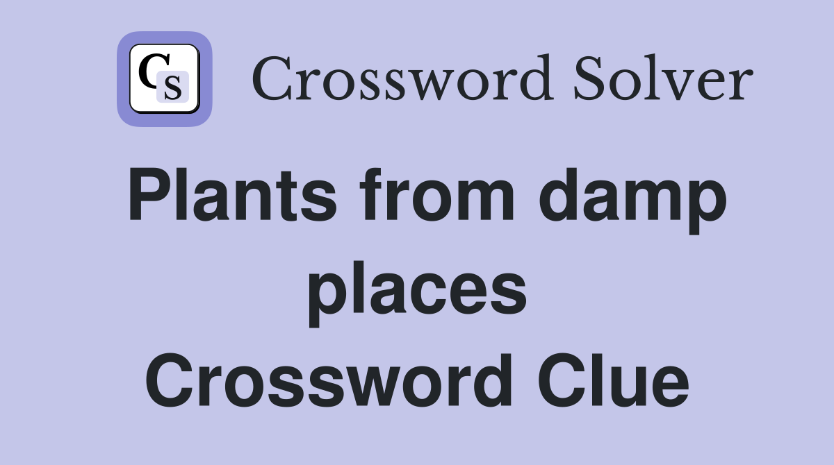 Plants from damp places Crossword Clue