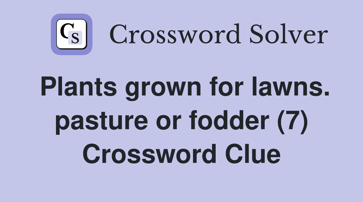 Plants grown for lawns. pasture or fodder (7) Crossword Clue