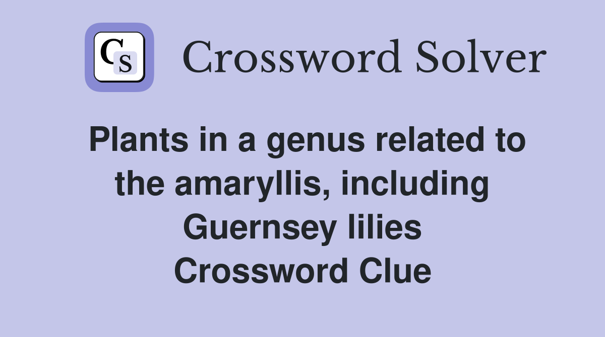 Plants in a genus related to the amaryllis, including Guernsey lilies Crossword Clue