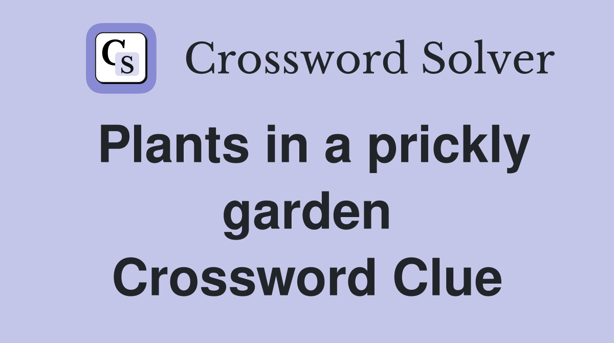 Plants in a prickly garden Crossword Clue