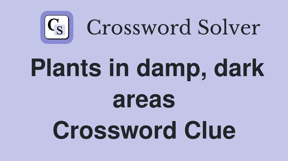 Plants in damp, dark areas Crossword Clue