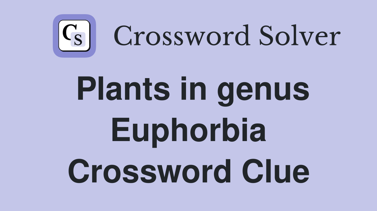 Plants in genus Euphorbia Crossword Clue