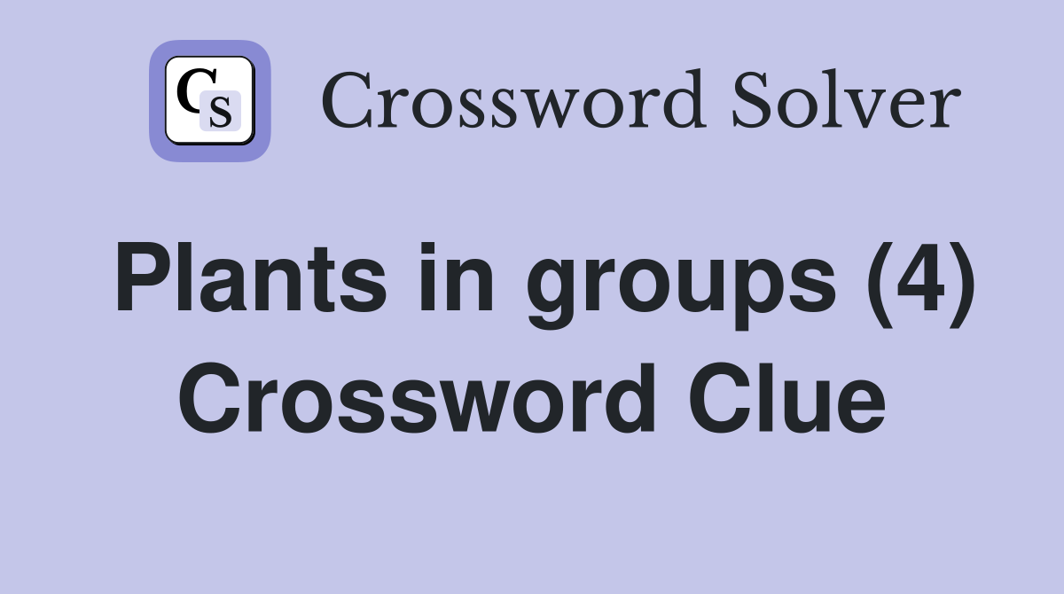 Plants in groups (4) Crossword Clue