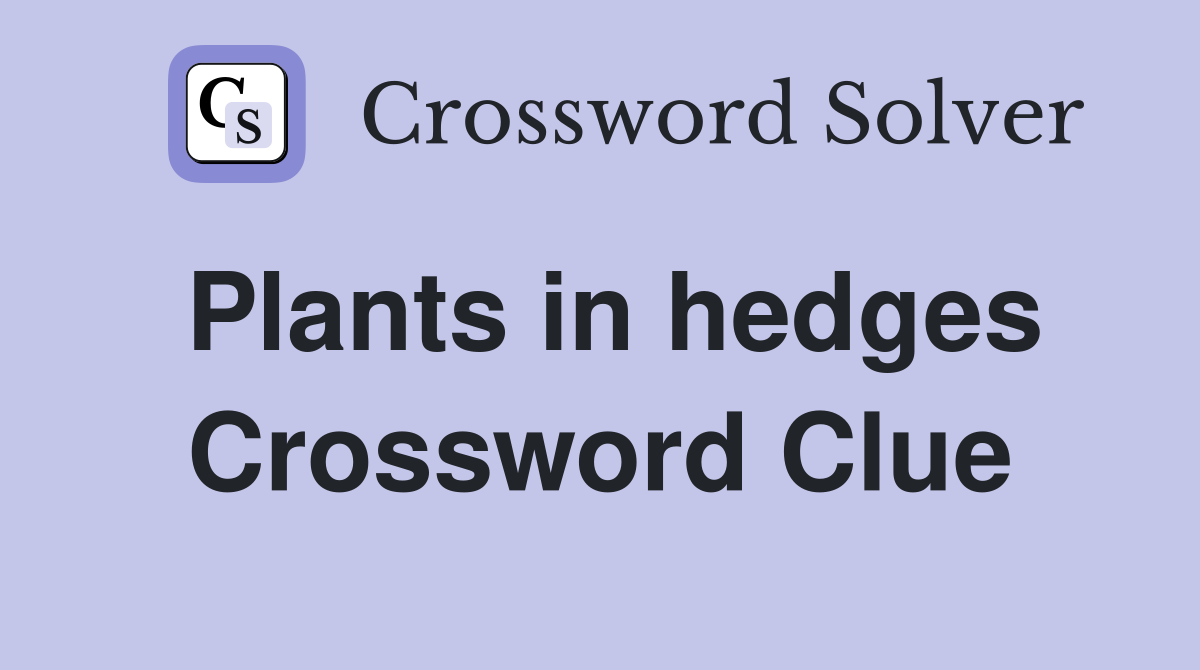 Plants in hedges Crossword Clue