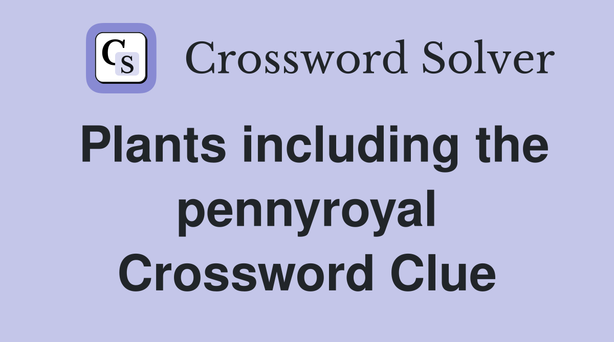 Plants including the pennyroyal Crossword Clue