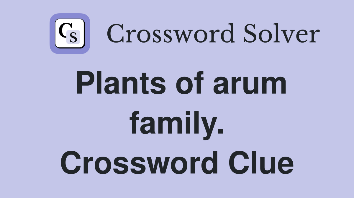 Plants of arum family. Crossword Clue