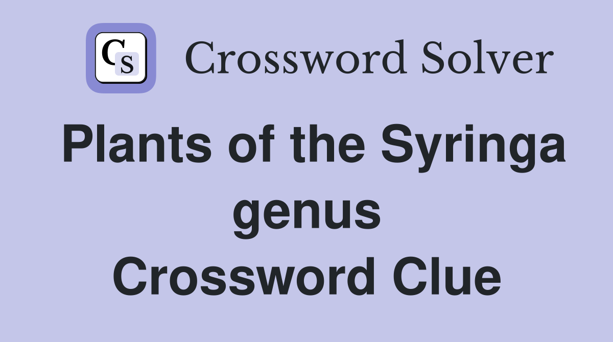 Plants of the Syringa genus Crossword Clue
